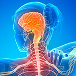Нарушение нервной системы: симптомы и методы лечения